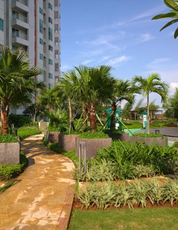 environmental-systems-green-roof environmental-systems-green-roof